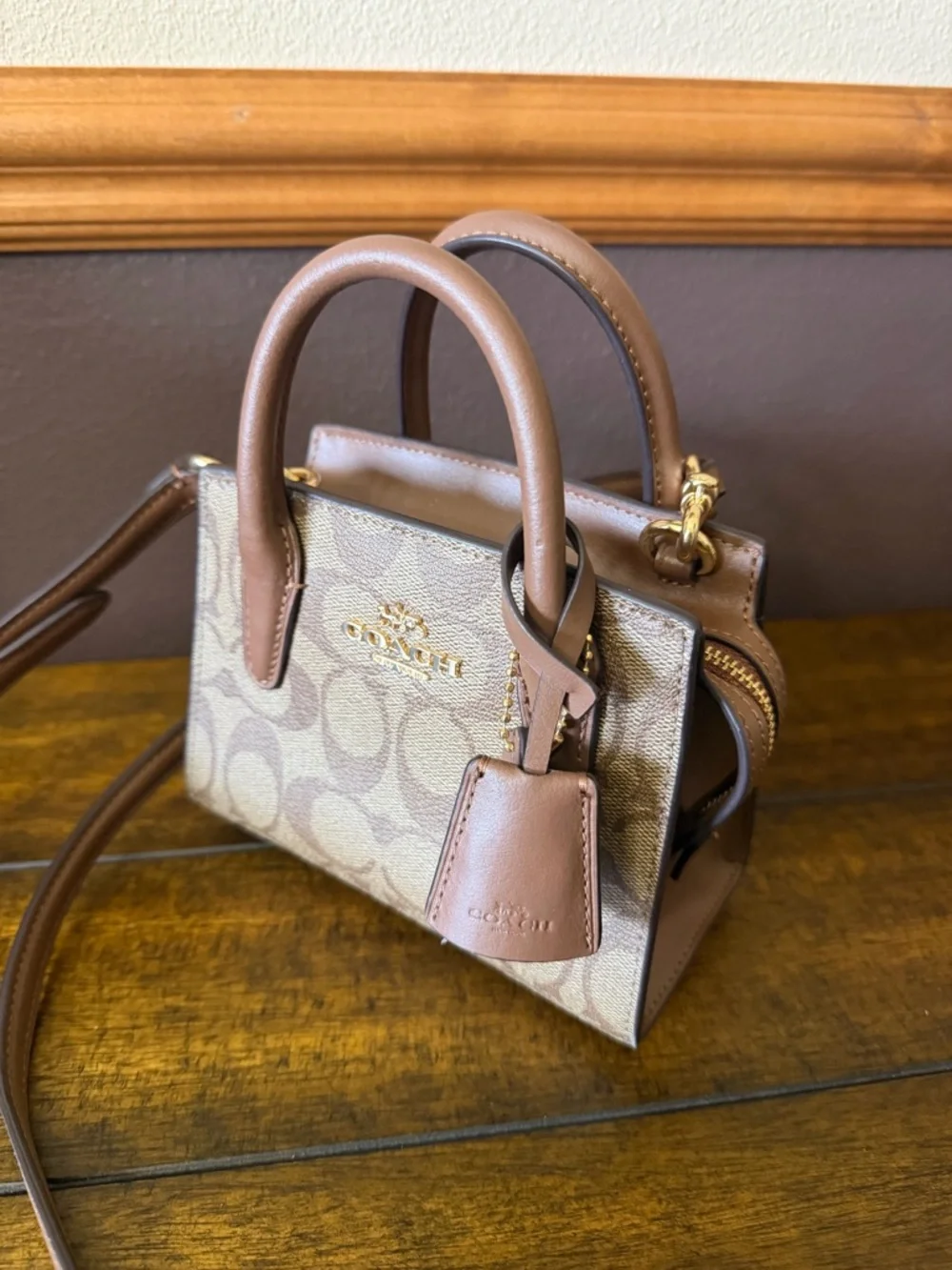 ✨NWOT Coach Andrea Mini Carryall – Signature Canvas Crossbody ✨ - Picture 6 of 11
